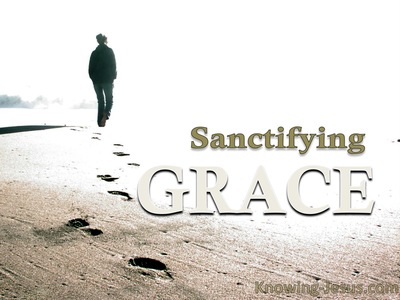 Sanctifying Grace - Man’s Nature and Destiny (6)